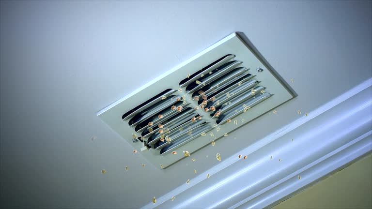 Best Professional Duct Cleaning Services  in Munford, AL